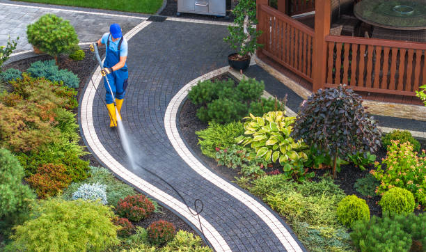 Best Pressure Washing Company Near Me  in Chippewa Falls, WI