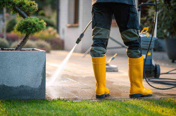 Best Roof Pressure Washing  in Chippewa Falls, WI